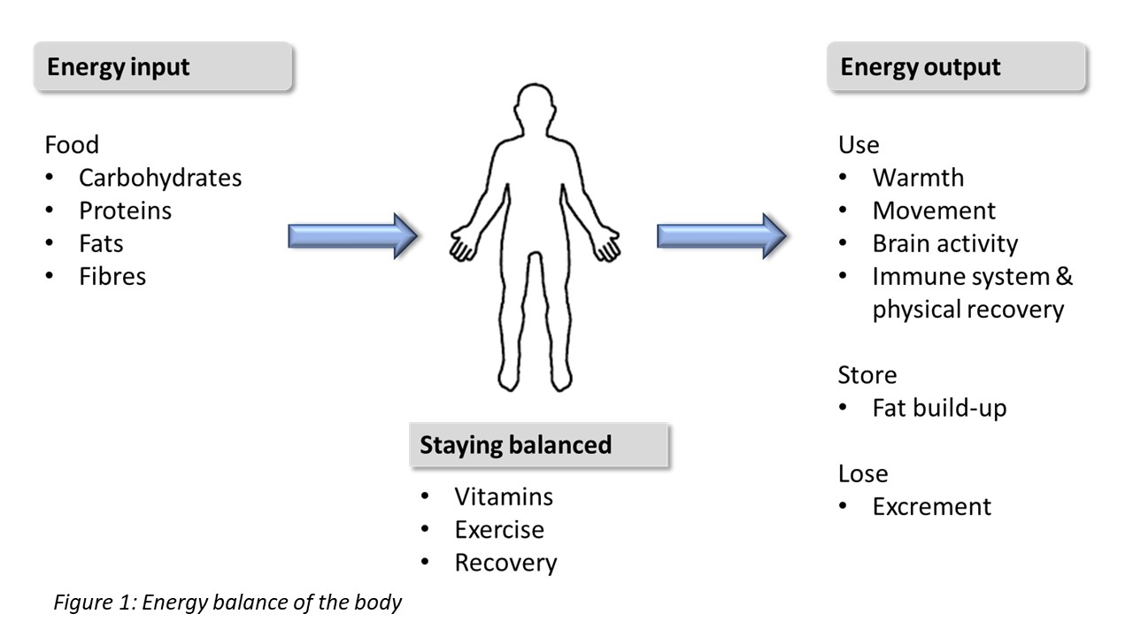 Feel The Power In Your Body Insight Out